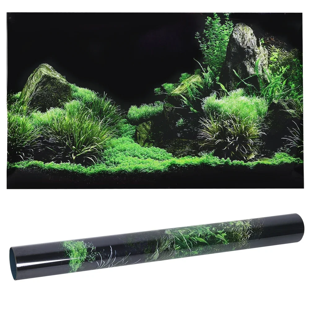 Aquarium Fish Cartoon - Achtergrond Voor Aquarium 3d Sticker Poster