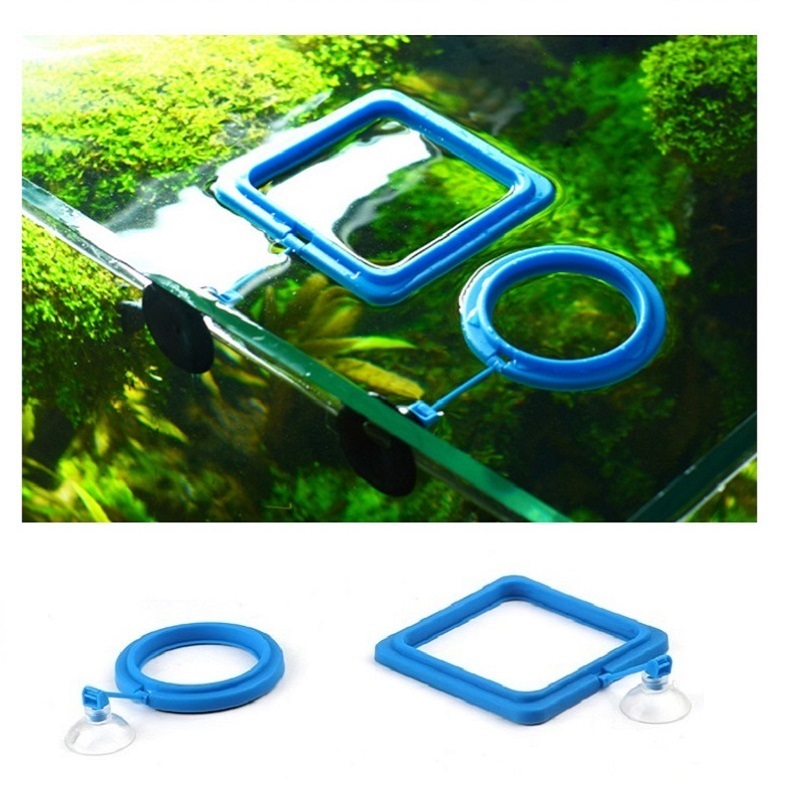Tetra Fish In Aquarium - Visvoeding Ring Feeder Visuitrusting Voor Voedsel