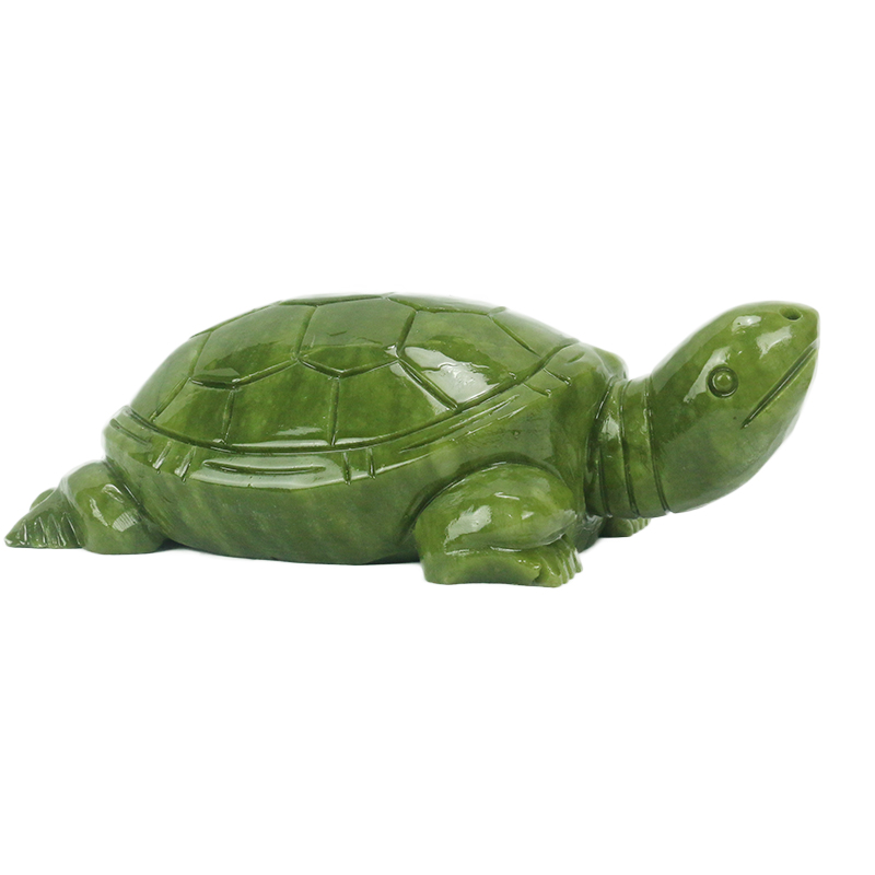 Natuurlijke Jade/schildpad Scu - Aquarium Fish Cartoon recensie en prijs