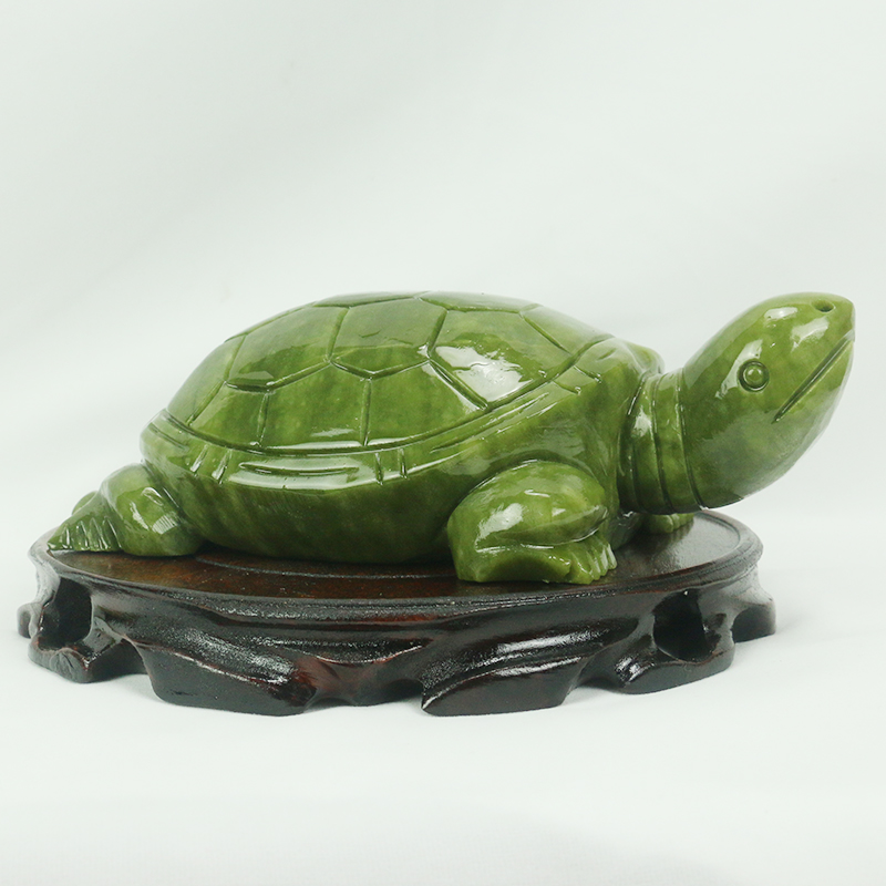 Natuurlijke Jade/schildpad Scu - Aquarium Fish Cartoon recensie en prijs