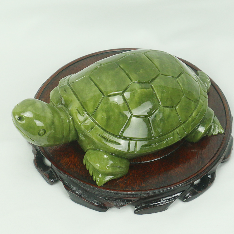 Natuurlijke Jade/schildpad Scu - Aquarium Fish Cartoon recensie en prijs