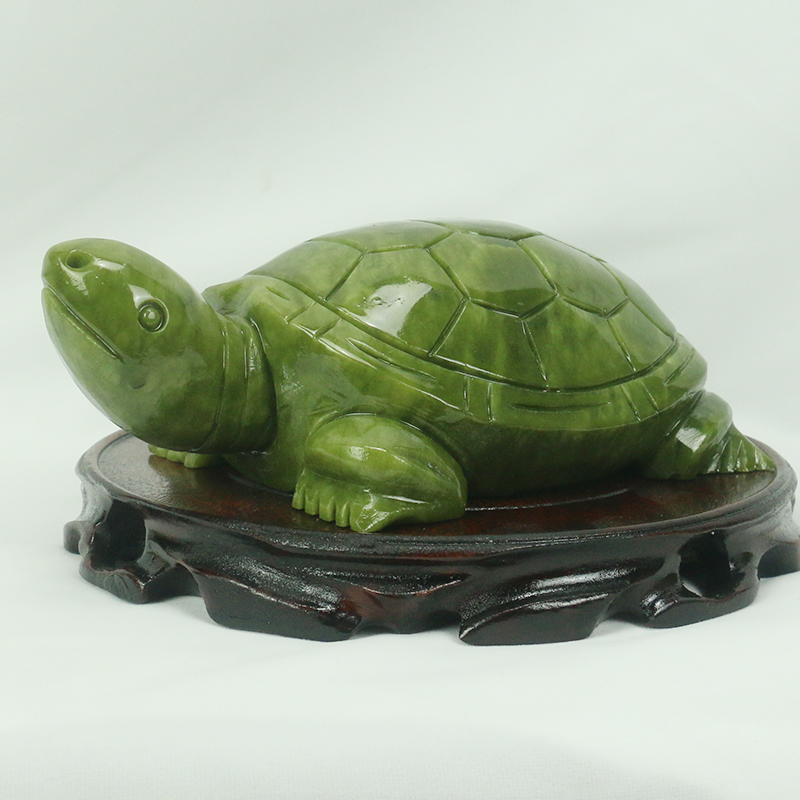 Natuurlijke Jade/schildpad Scu - Aquarium Fish Cartoon recensie en prijs