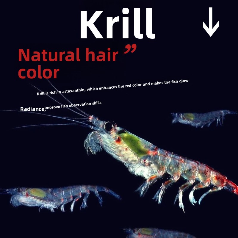 Huiqiancai Micro Pellets Visvo - Tetra Fish In Aquarium recensie en prijs