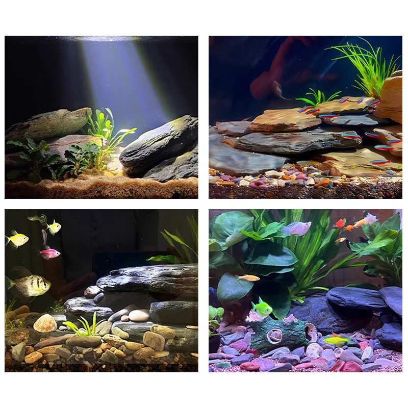 500/1000g Aquarium Landschap S - Aquarium Fish Fishing recensie en prijs