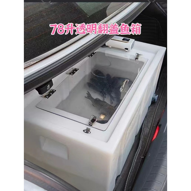 In de auto te monteren levende - Aquarium Fish Fishing recensie en prijs