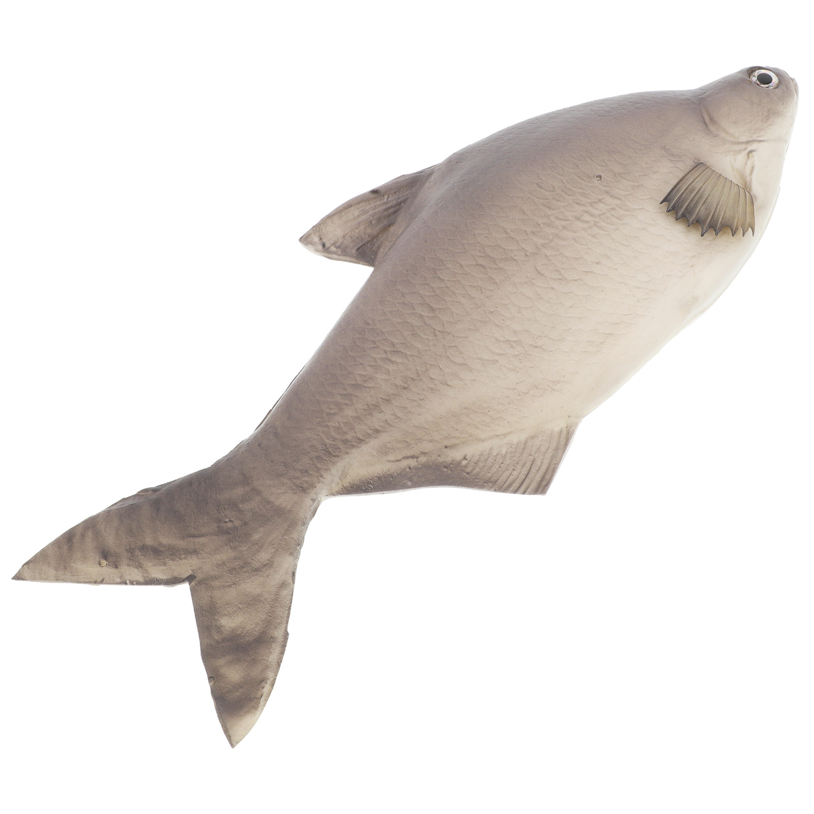Gedetailleerde PU-gesimuleerde - Aquarium Fish Market recensie en prijs