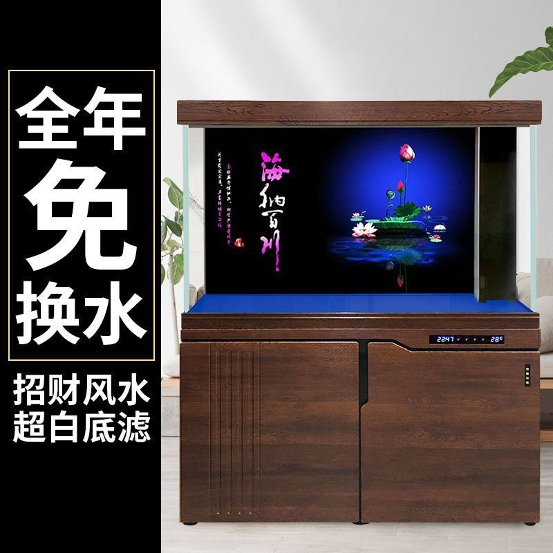 Xilong viskom grote en middelg - Aquarium Xilong recensie en prijs