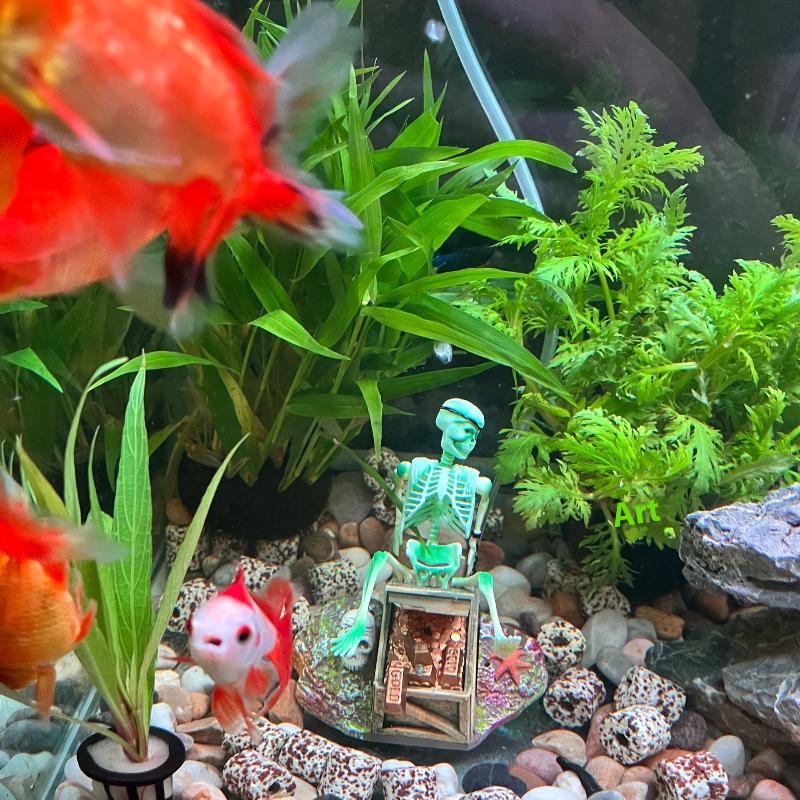 Aquarium Aërobe Landschap Bubb - Aquarium Fish Cartoon recensie en prijs