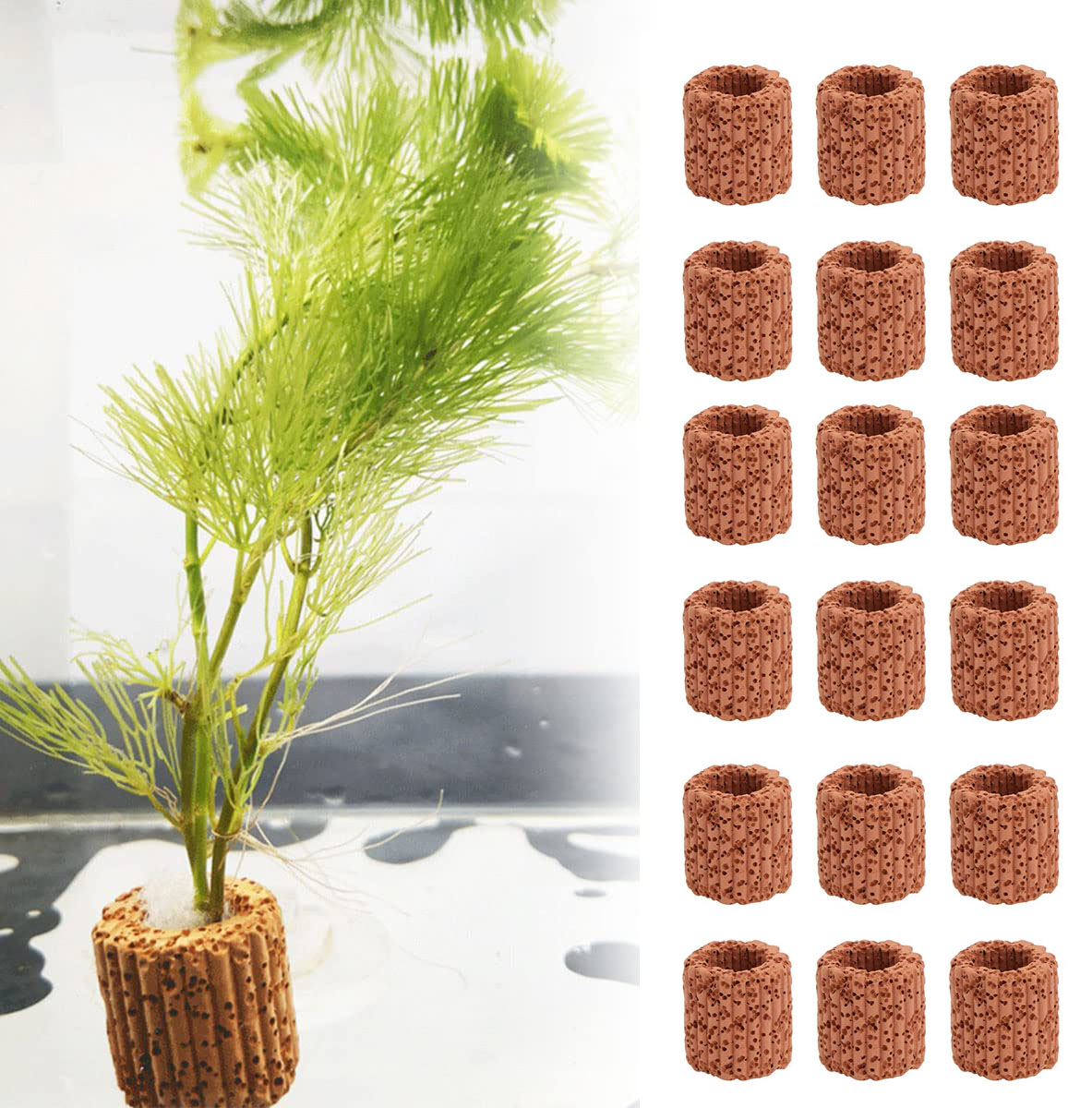 10/20Pcs Aquatisch Water Plant - Aquarium Fish Cartoon recensie en prijs