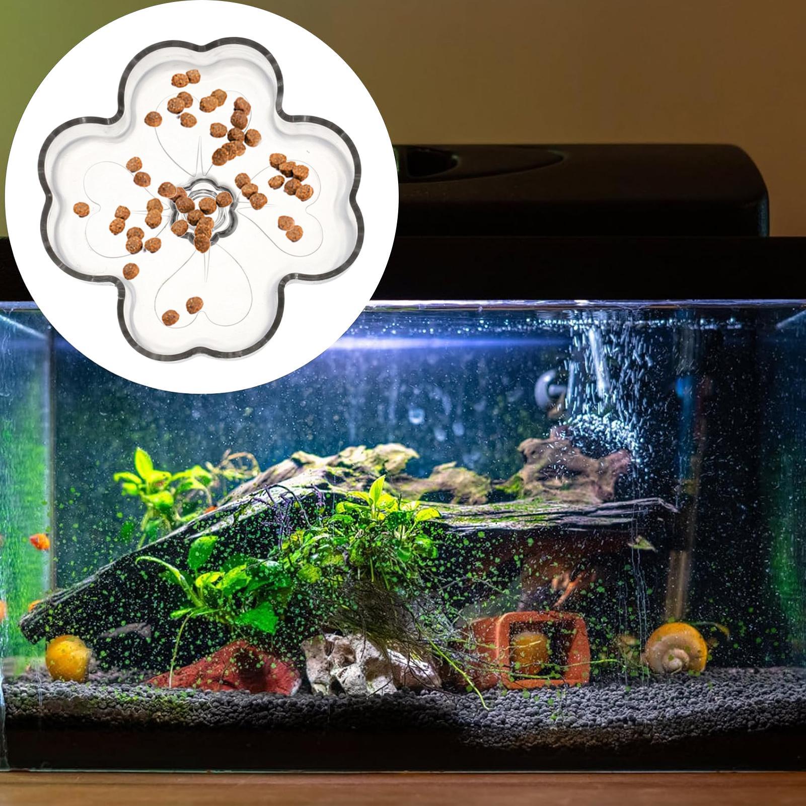 Aquarium Voederbak Zuignap Blo - Tetra Fish In Aquarium recensie en prijs