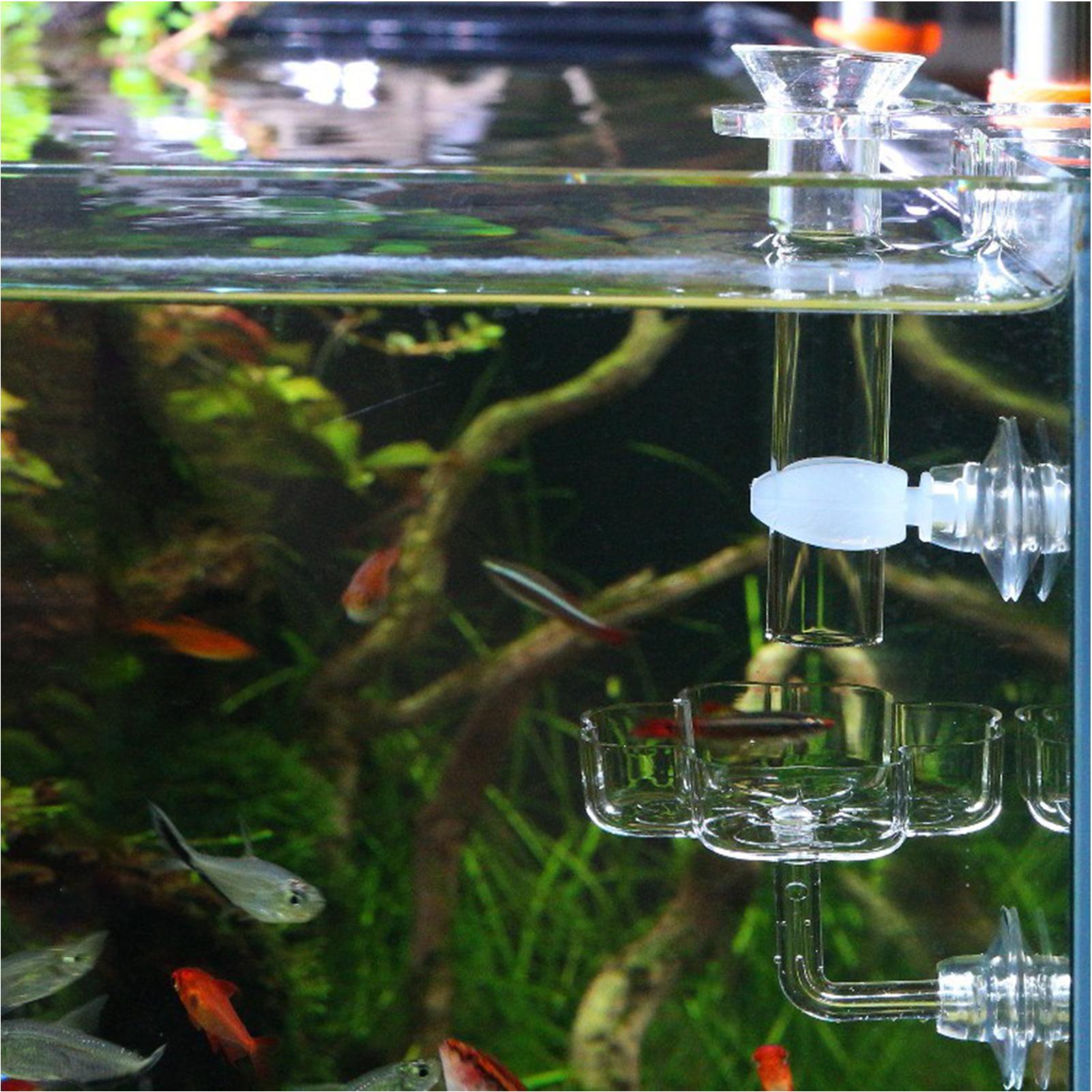 Aquariumvoederbak met zuignap, - Tetra Fish In Aquarium recensie en prijs