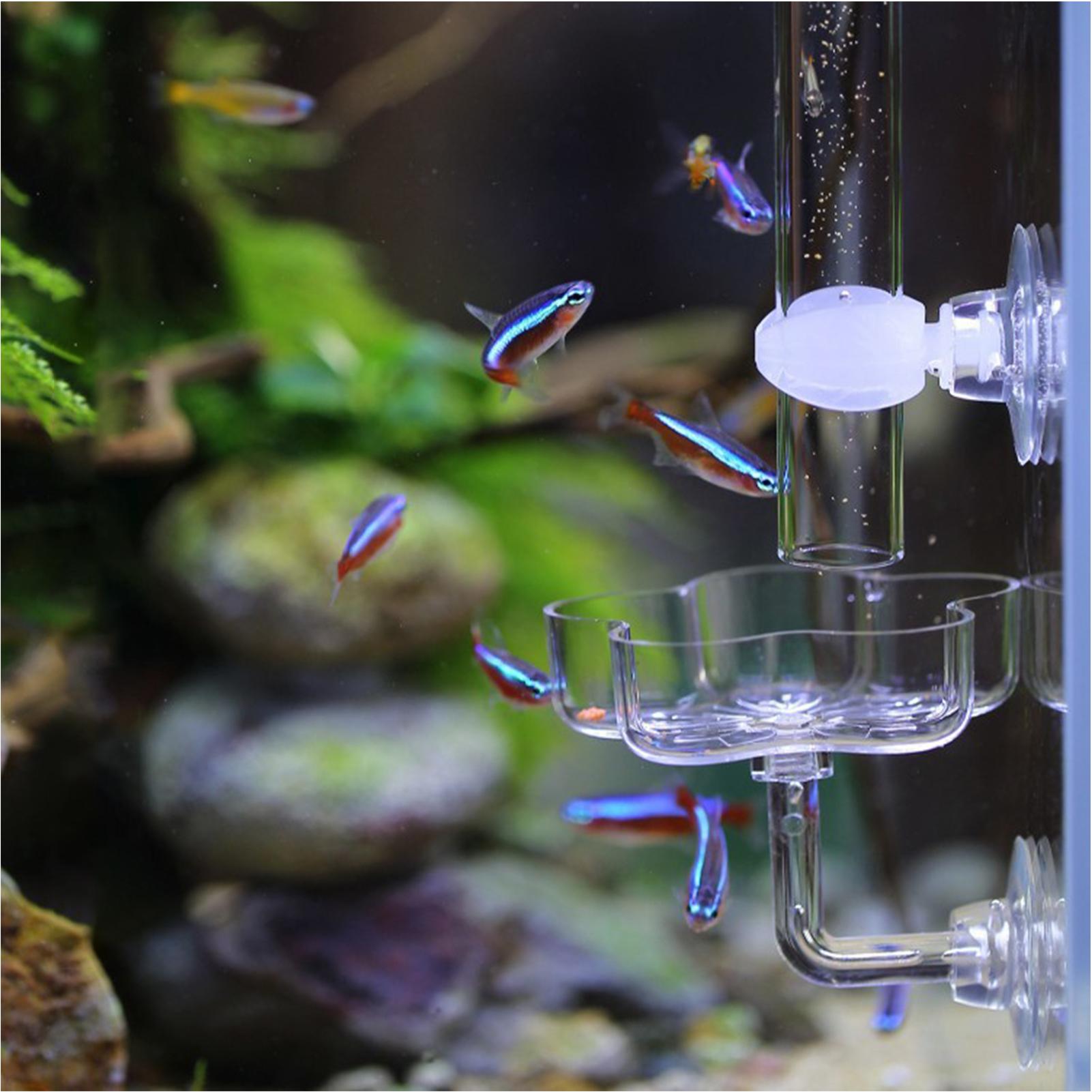 Aquariumvoederbak met zuignap, - Tetra Fish In Aquarium recensie en prijs