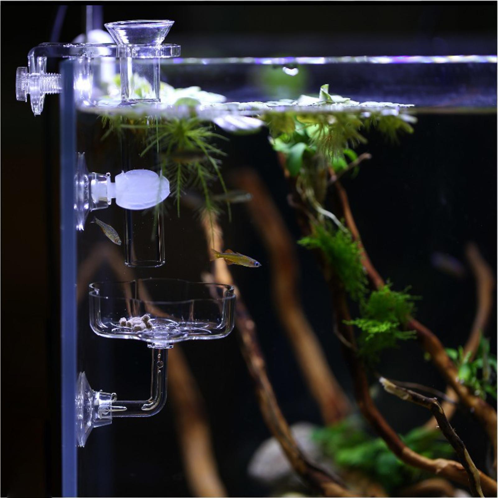Aquariumvoederbak met zuignap, - Tetra Fish In Aquarium recensie en prijs