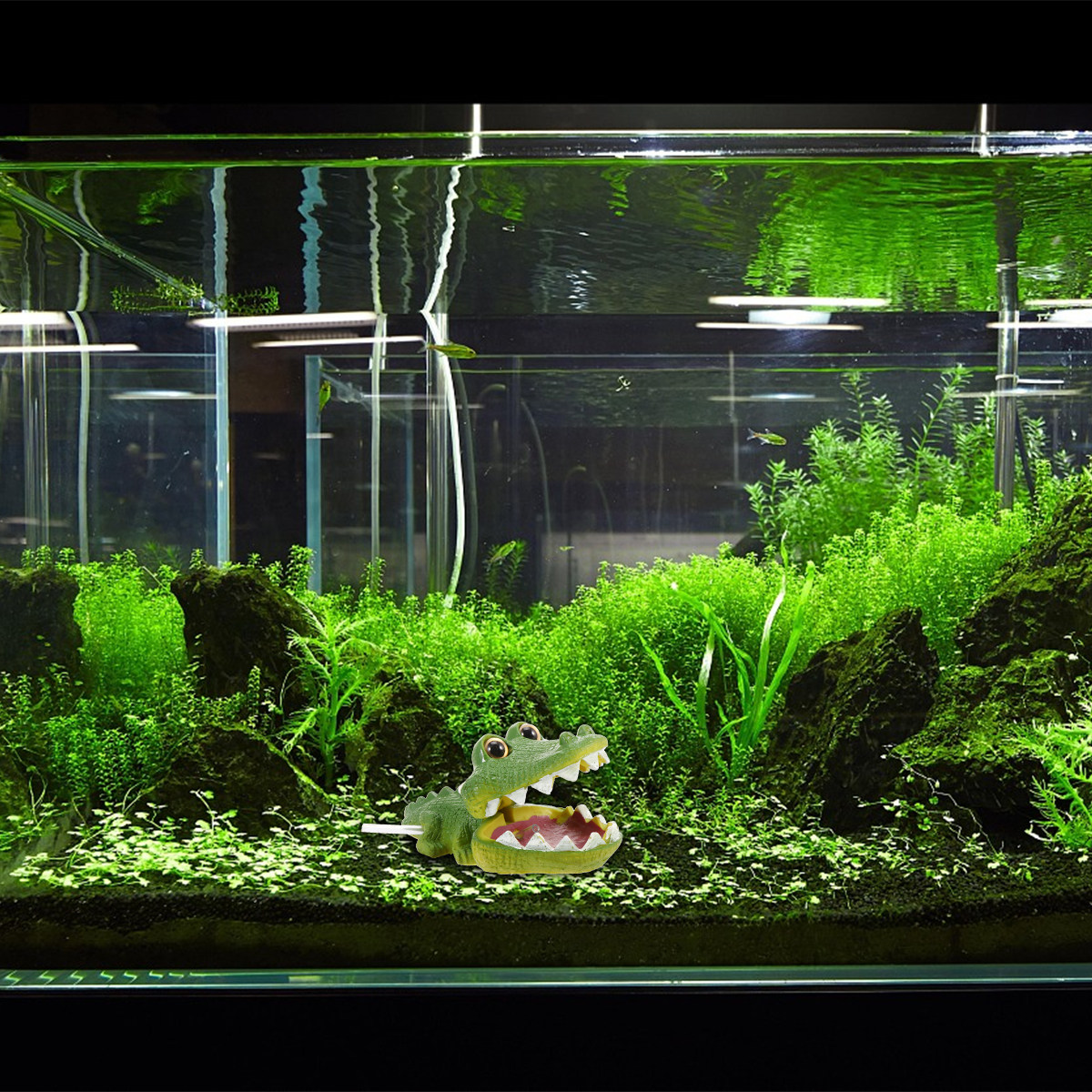Realistisch alligator aquarium - Aquarium Fish Alligator recensie en prijs