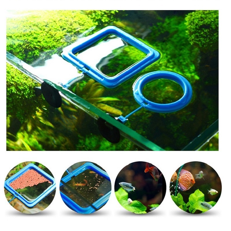 Visvoeding Ring Feeder Visuitr - Tetra Fish In Aquarium recensie en prijs