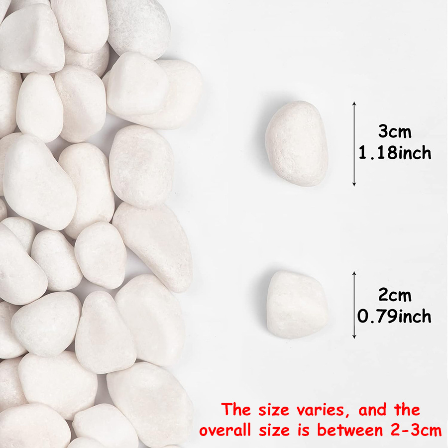 200/400g Witte Hooggepolijste  - Aquarium Fish Fishing recensie en prijs