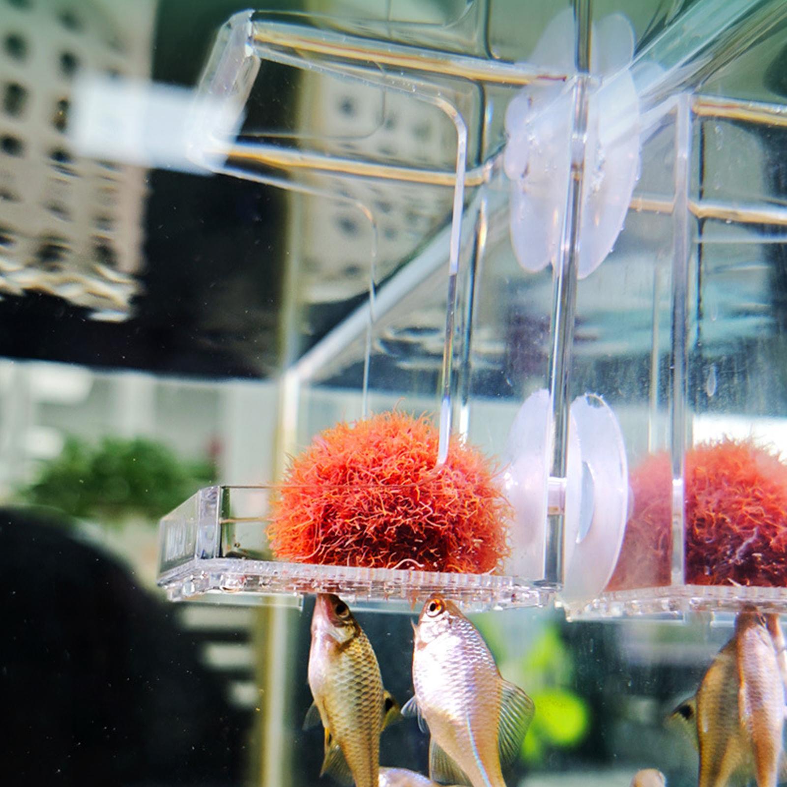 Aquarium Feeder Zuignap Aquari - Tetra Fish In Aquarium recensie en prijs
