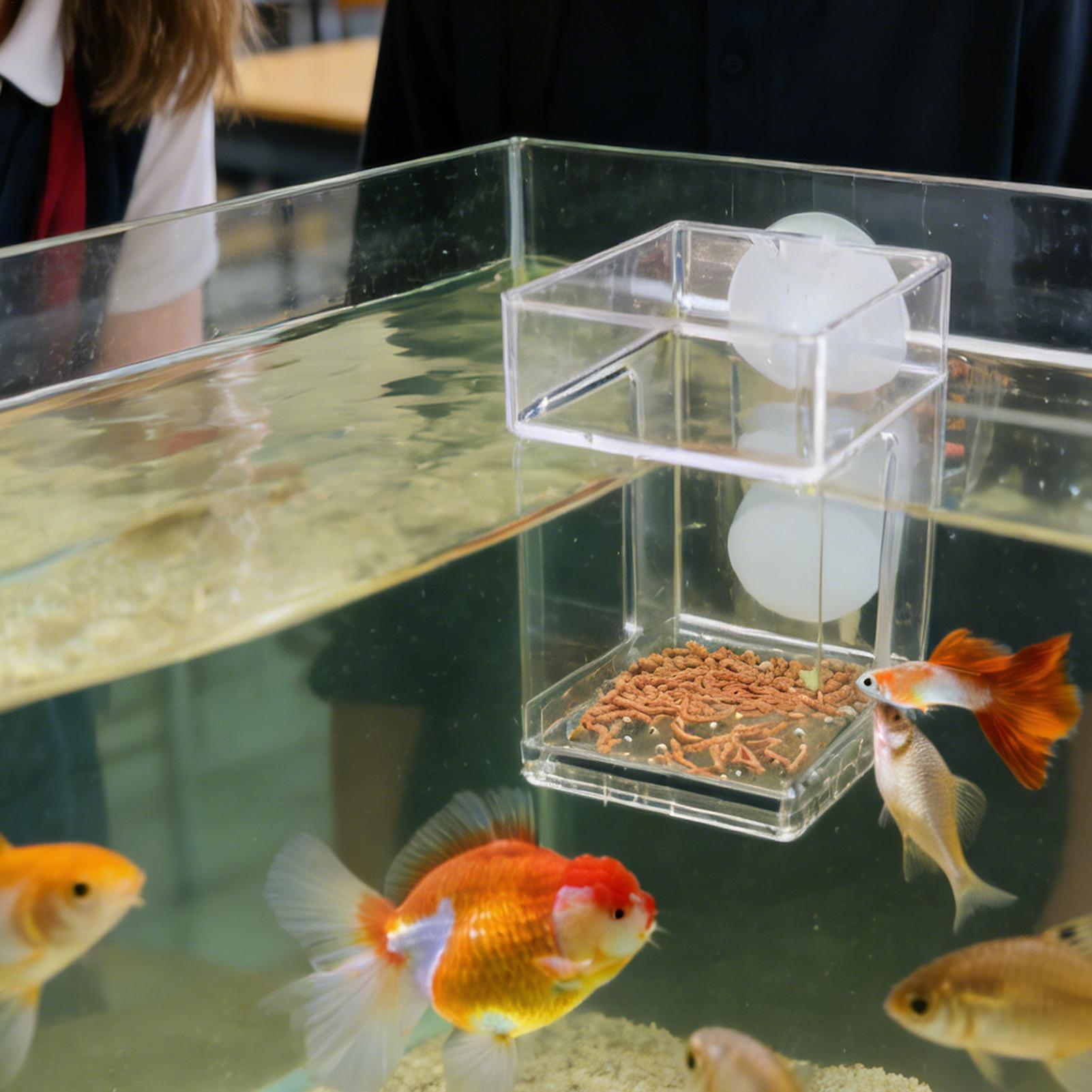 Aquarium Feeder Zuignap Aquari - Tetra Fish In Aquarium recensie en prijs