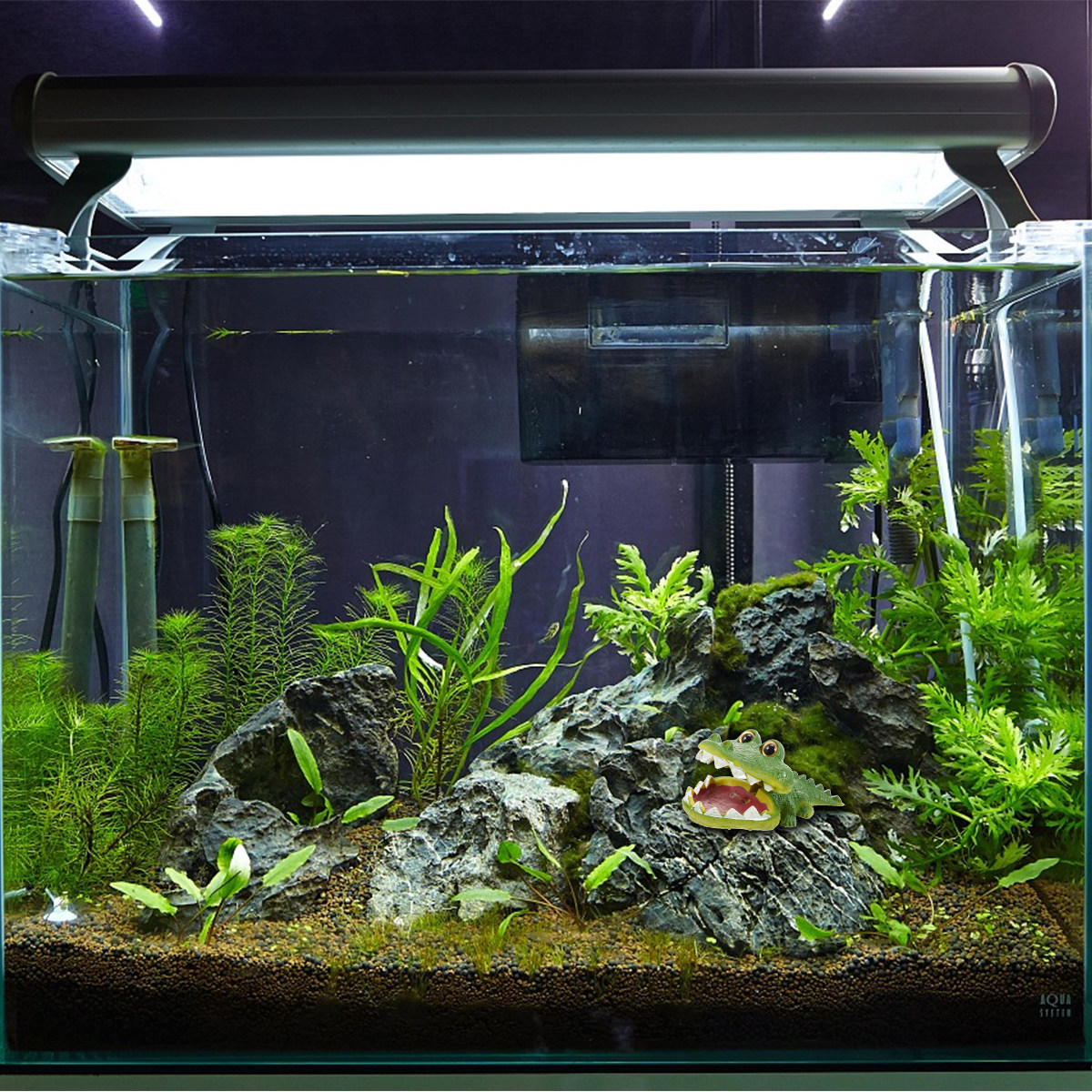 Bruisende Alligator Aquariumde - Aquarium Fish Alligator recensie en prijs