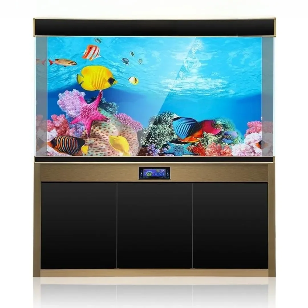 Achtergrond Aquarium 3D Sticke - Background Film 3D recensie en prijs