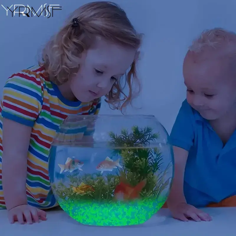 1000 stks 3-5mm Lichtgevende Z - Aquarium Fish That Glow In The Dark recensie en prijs