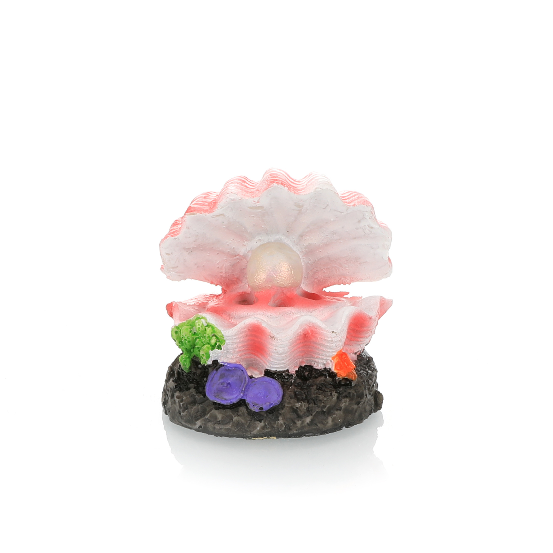 Aquarium Landschapsarchitectuu - Aquarium Fish Cartoon recensie en prijs