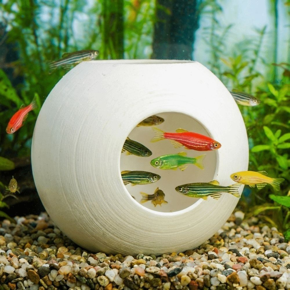 Plastic visgarnalen schuilplaa - Aquarium Fish Discus recensie en prijs