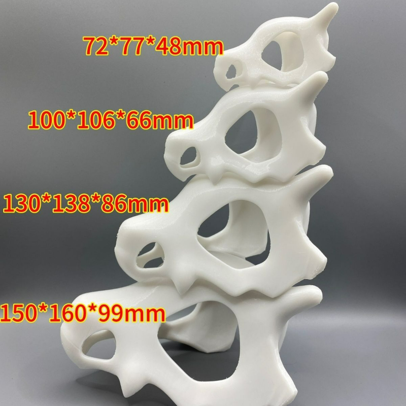 3D Gedrukt Vis Garnalen Reptie - Aquarium Fish Cartoon recensie en prijs