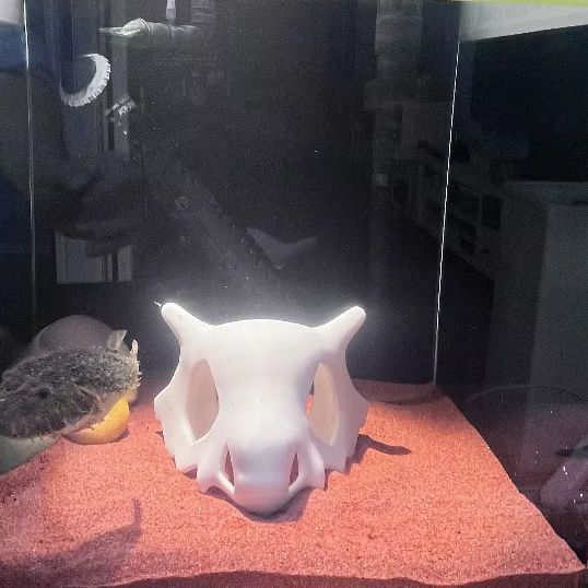 3D Gedrukt Vis Garnalen Reptie - Aquarium Fish Cartoon recensie en prijs